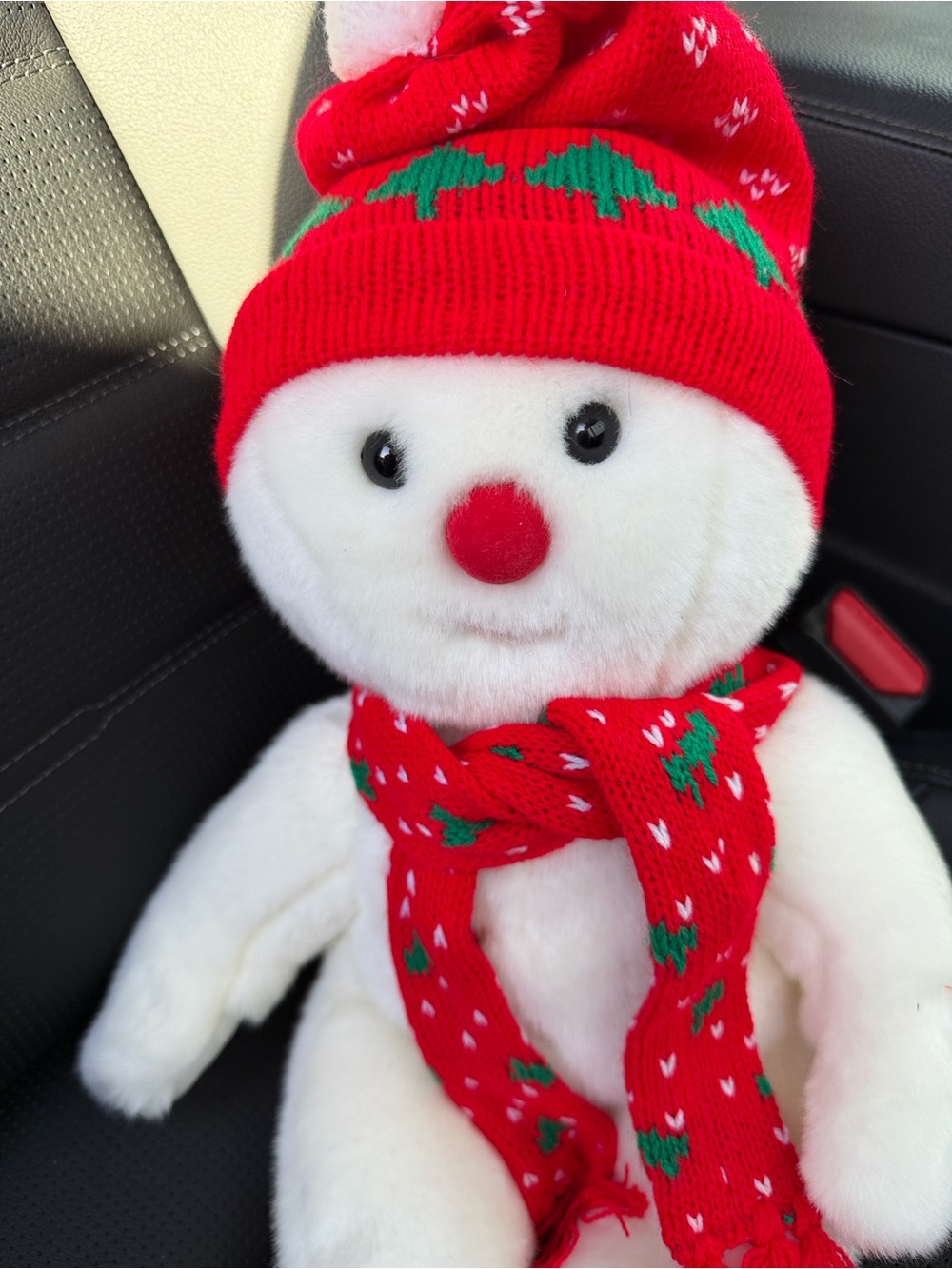 Ty Heart-Shaped Beanie Snow boy. Lg - Picture 6 of 6